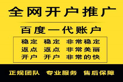 成功案例：网络推广与竞价广告的完美结合